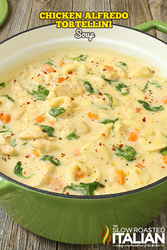 Chicken Alfredo Tortellini Soup is like your favorite chicken Alfredo recipe with vegetables in a rich and velvety soup. It is warm and comforting and utterly happy-dance inducing!