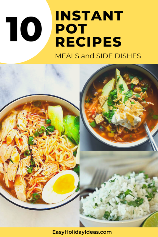 Whether you're looking for Instant Pot Chicken Recipes or Healthy Instant Pot Recipes, this list of easy instant pot recipes has a little of everything for you. 